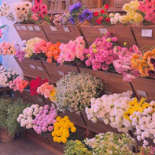 دانلود اهنگ دوستوم دوستوم گوزل دوستوم احمد کایا دانلود اهنگ دوستوم دوستوم گوزل دوستوم احمد کایا